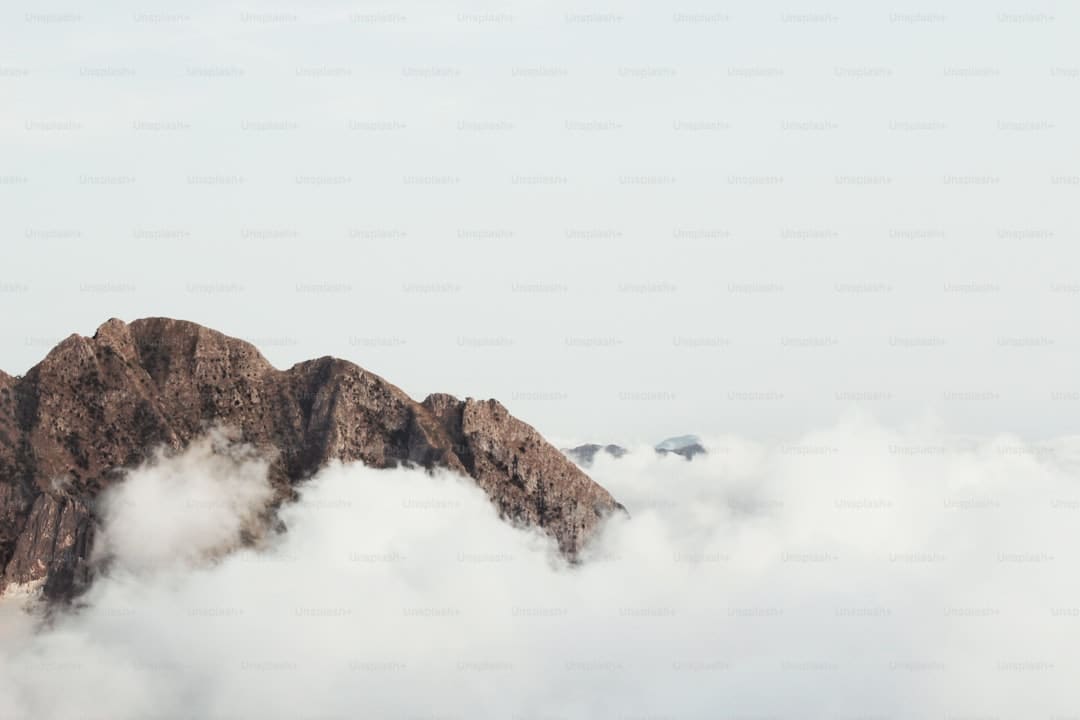 盯着拾荒老人不放，是怜悯？还是想遮羞？